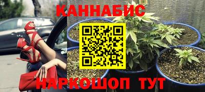 mdpv Новокубанск